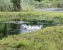 20200809-shw-0062