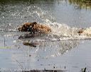 20200809-shw-0075