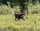 20200809-shw-0119