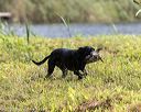 20200809-shw-0175