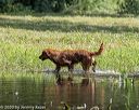 20200809-shw-0255