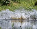 20200809-shw-0308