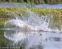 20200809-shw-0404
