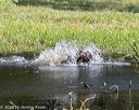 20200809-shw-0416