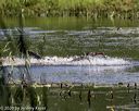 20200809-shw-0422