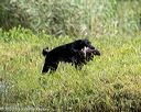 20200809-shw-0499