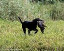20200809-shw-0502