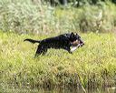 20200809-shw-0580