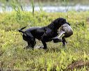 20200809-shw-0633