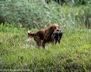 20200809-shw-0727