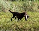 20200809-shw-0936