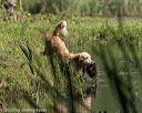 20200809-shw-0980