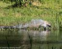 20200809-shw-1089
