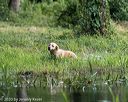 20200809-shw-1178