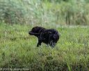 20200809-shw-1260