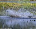 20200809-shw-1292