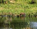 20200809-shw-1399