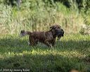 20200809-shw-1432