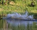 20200809-shw-1461