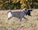 20201011-wcl-0078