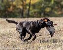 20201011-wcl-0290