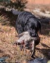 20201011-wcw-0271