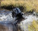 20201011-wcw-0549