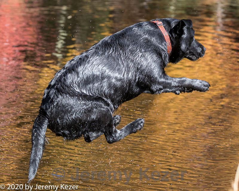 20201011-wcw-0317.jpg