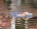 20201011-wcxw-0273