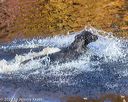 20201011-wcxw-0406