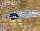 20201011-wcxw-0479