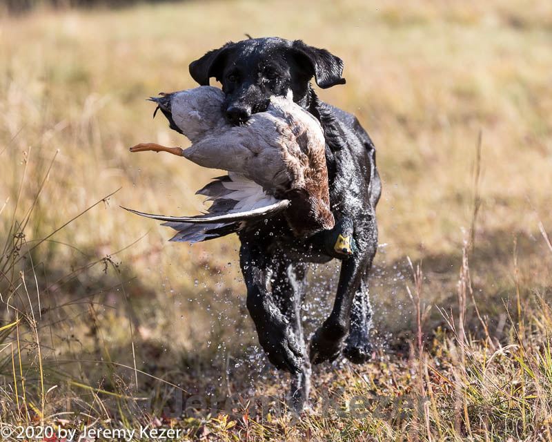 20201011-wcxw-0047.jpg