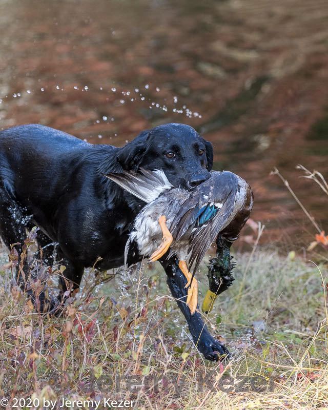 20201011-wcxw-0149.jpg