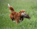 20210605-shl-0015