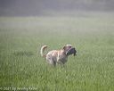20210605-shl-0070