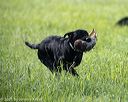 20210605-shl-0163