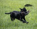 20210605-shl-0164