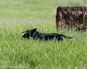 20210605-shl-0177