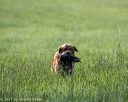 20210605-shl-0303