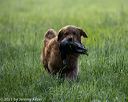 20210605-shl-0309
