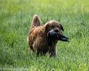 20210605-shl-0312
