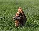 20210605-shl-0344