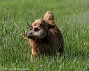 20210605-shl-0352