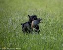 20210605-shl-0368