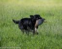 20210605-shl-0376