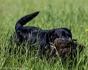 20210605-shl-0432
