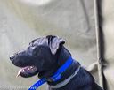 20210605-shl-0436