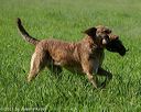 20210605-shl-0572