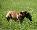 20210605-shl-0739