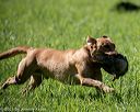 20210605-shl-0740